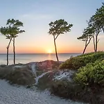 Deichblick 200m Zum Darss Zingst